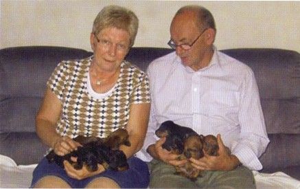 Birthe og Henning har hænderne fulde: Her er det kennelens yngste poder, der lader sig forevige.